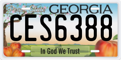 GA license plate CES6388