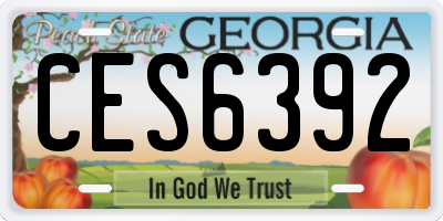 GA license plate CES6392