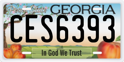 GA license plate CES6393