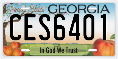 GA license plate CES6401