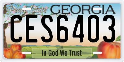 GA license plate CES6403