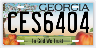 GA license plate CES6404