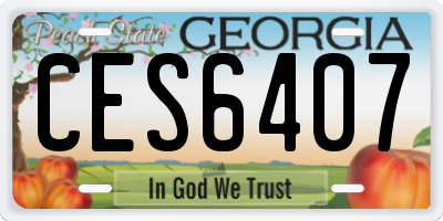 GA license plate CES6407