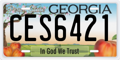GA license plate CES6421