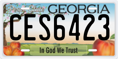 GA license plate CES6423