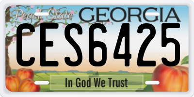 GA license plate CES6425