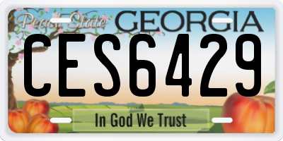 GA license plate CES6429