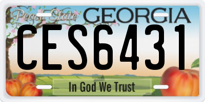 GA license plate CES6431