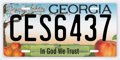 GA license plate CES6437