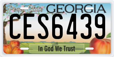 GA license plate CES6439