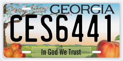GA license plate CES6441