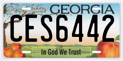 GA license plate CES6442