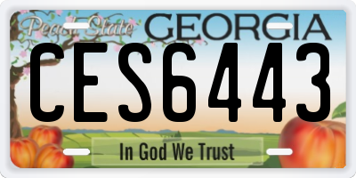 GA license plate CES6443