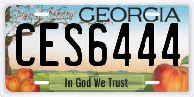 GA license plate CES6444