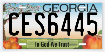 GA license plate CES6445