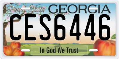 GA license plate CES6446