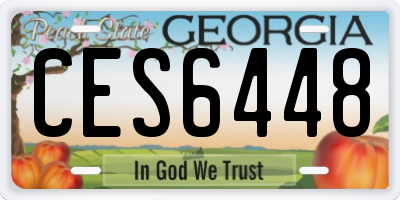 GA license plate CES6448
