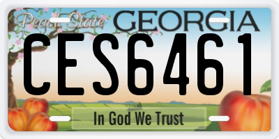 GA license plate CES6461