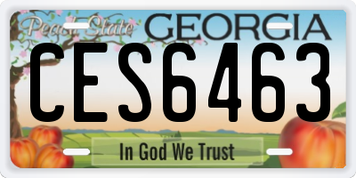 GA license plate CES6463