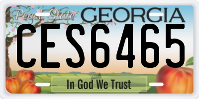 GA license plate CES6465
