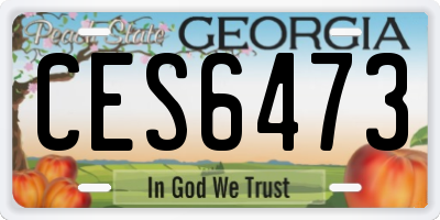 GA license plate CES6473