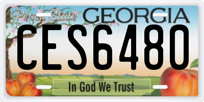 GA license plate CES6480