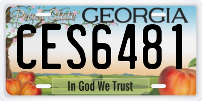 GA license plate CES6481