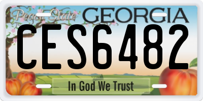 GA license plate CES6482