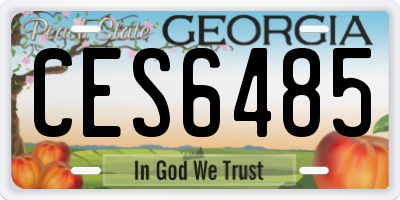 GA license plate CES6485