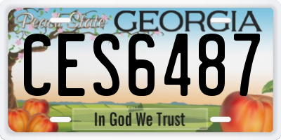 GA license plate CES6487