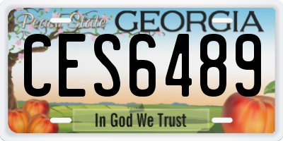 GA license plate CES6489