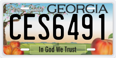 GA license plate CES6491