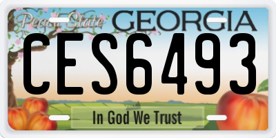 GA license plate CES6493