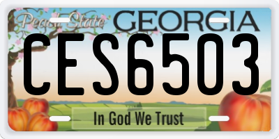 GA license plate CES6503