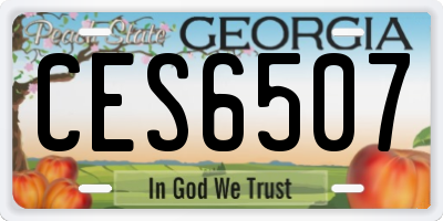 GA license plate CES6507