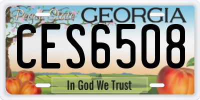 GA license plate CES6508