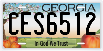 GA license plate CES6512