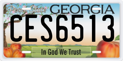 GA license plate CES6513