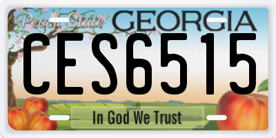 GA license plate CES6515