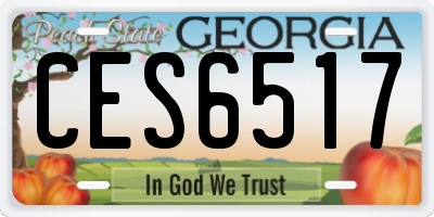 GA license plate CES6517
