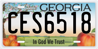 GA license plate CES6518