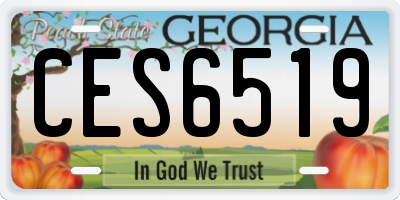 GA license plate CES6519