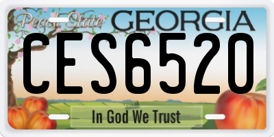 GA license plate CES6520