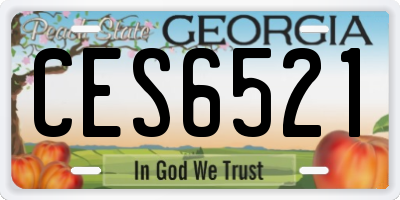 GA license plate CES6521