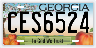GA license plate CES6524