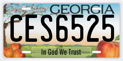 GA license plate CES6525