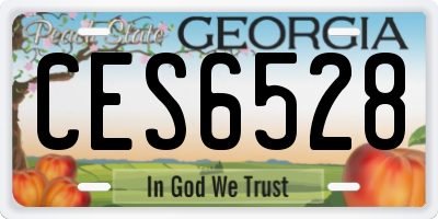GA license plate CES6528