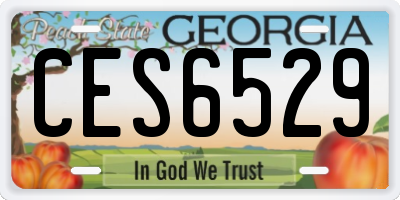 GA license plate CES6529