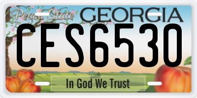 GA license plate CES6530