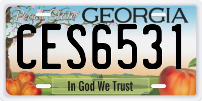 GA license plate CES6531